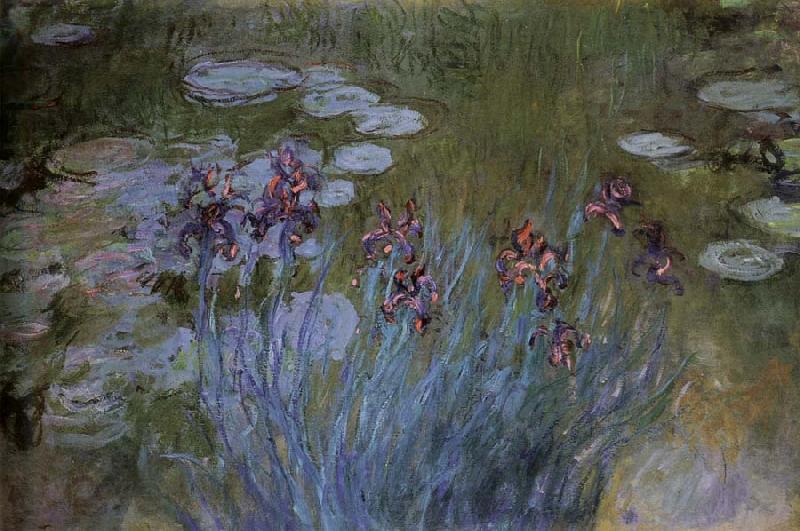 Claude Monet Irises and Water Lillies Germany oil painting art